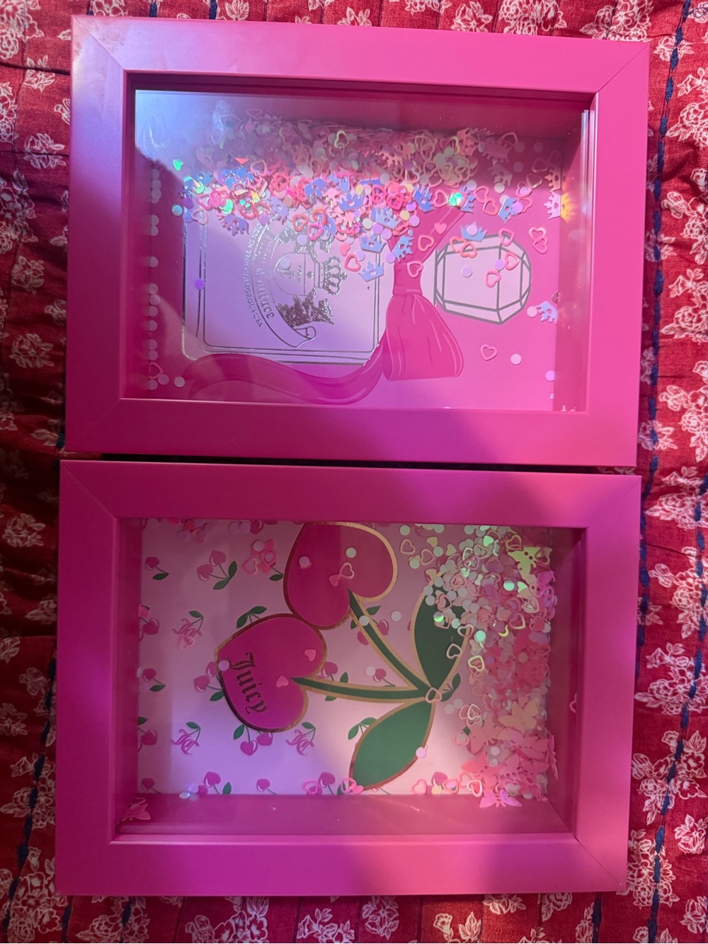 Juicy Couture Pink Decorative Glass Shadow Box Pair